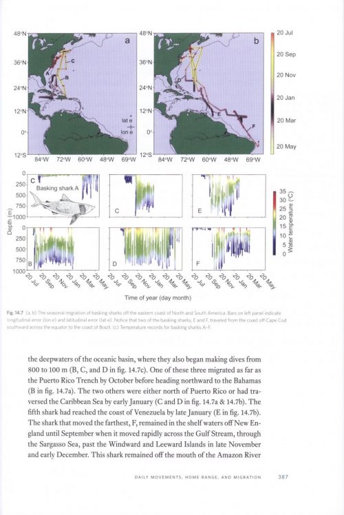 The Biology of Sharks and Rays - Image 6