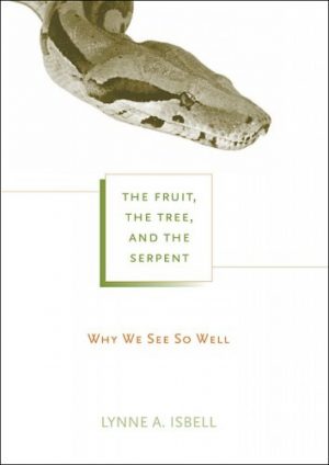 The Fruit, The Tree, and the Serpent: Why We See So Well