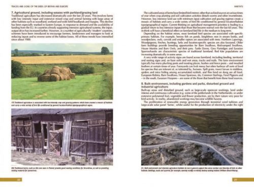 Tracks and Signs of the Birds of Britain and Europe: An Identification Guide (Third Edition) - Image 7