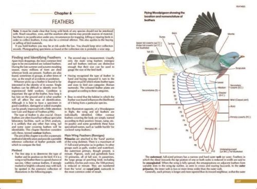 Tracks and Signs of the Birds of Britain and Europe: An Identification Guide (Third Edition) - Image 4