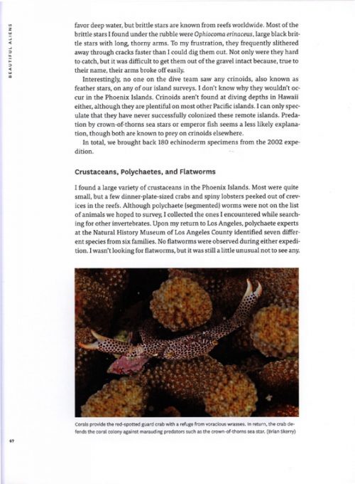 Underwater Eden: Saving the Last Coral Wilderness on Earth - Image 4