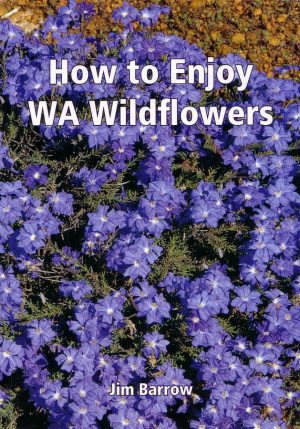 How to Enjoy WA Wildflowers