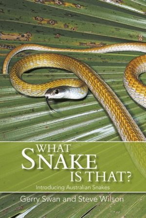 What Snake is That? Introducing Australian Snakes