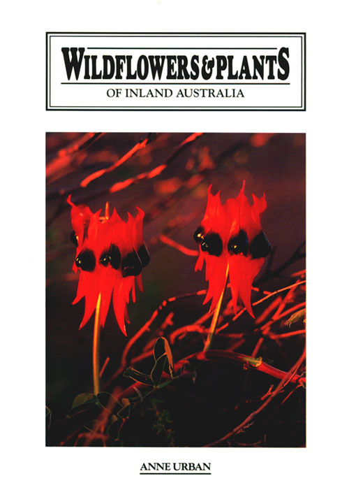 Wildflowers and Plants of Inland Australia