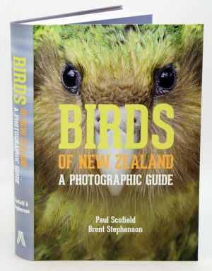 Birds of New Zealand: A Photographic Guide