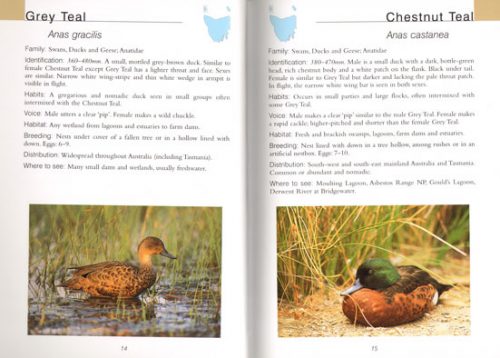Field Guide to Tasmanian Birds - Image 2