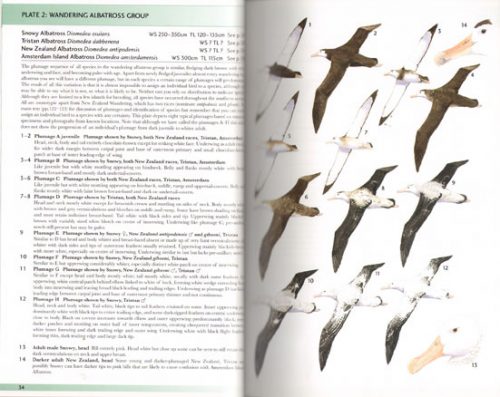 Albatrosses, Petrels and Shearwaters of the World - Image 2