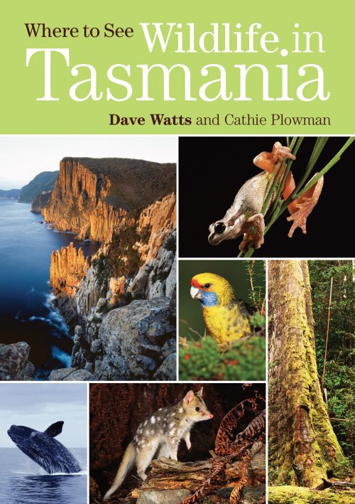 Where to see Wildlife in Tasmania