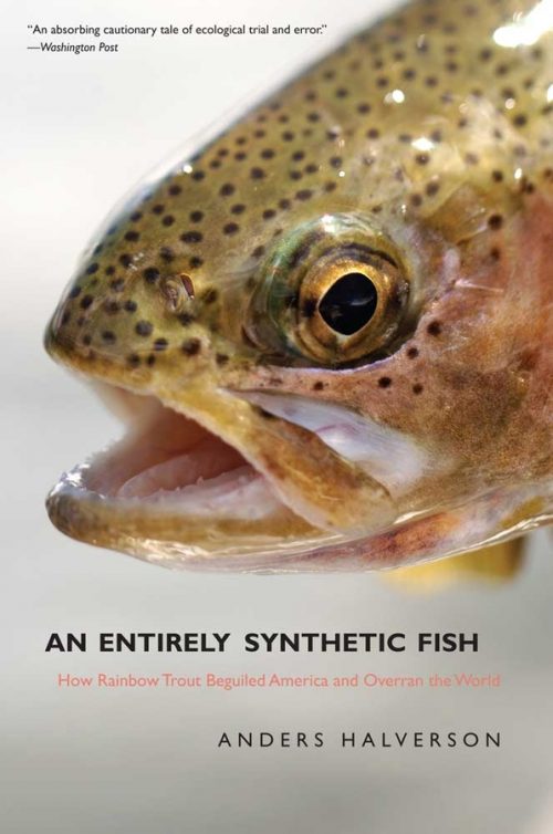 An Entirely Synthetic Fish: How Rainbow Trout Beguiled America and Overan the World