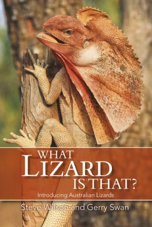 What Lizard is That?  Introducing Australian Lizards