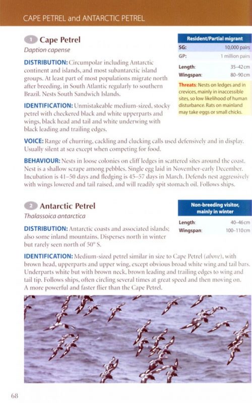 A Field Guide to the Wildlife of South Georgia - Image 3