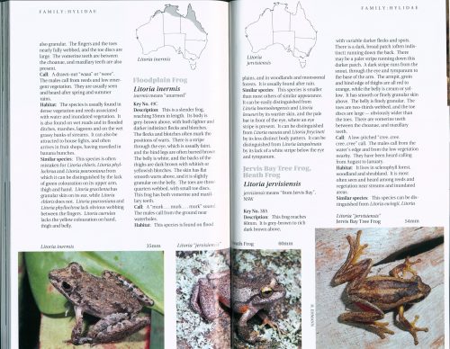 A Field Guide to Frogs of Australia:  From Port Augusta to Fraser Island Including Tasmania - Image 2