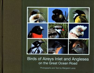 Birds of Aireys Inlet and Anglesea on the Great Ocean Road