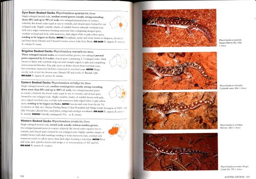 A Complete Guide to Reptiles of Australia (Sixth Edition) - Image 3