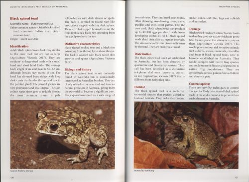 Guide to Introduced Pest Animals of Australia - Image 4