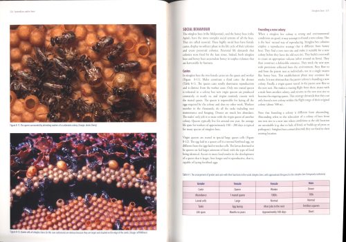 Australian Native Bees: A Practical Handbook - Image 5