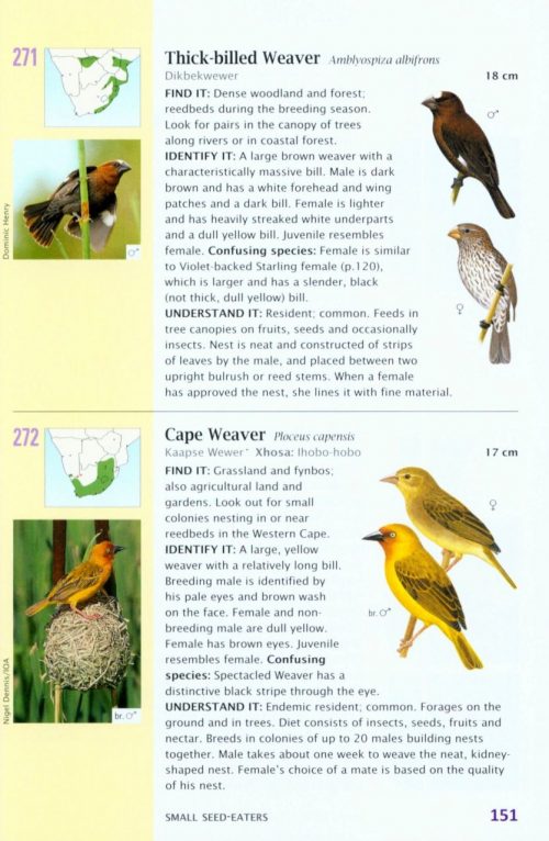 SASOL 300 Easy-To-See Birds - Image 4