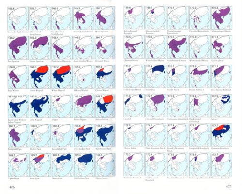 Collins Field Guide:  Birds South-East Asia - Image 3