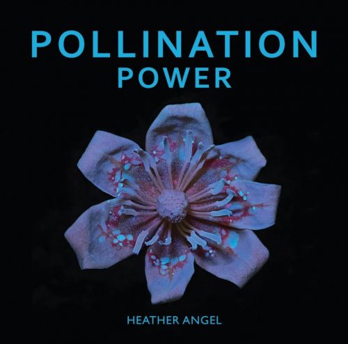 Pollination Power