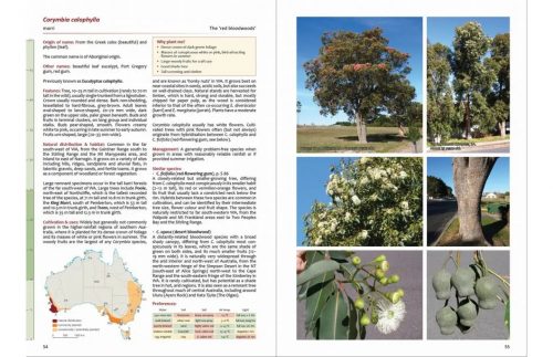 Taller Eucalypts for Planting in Australia: Their Selection, Cultivation and Management - Image 3