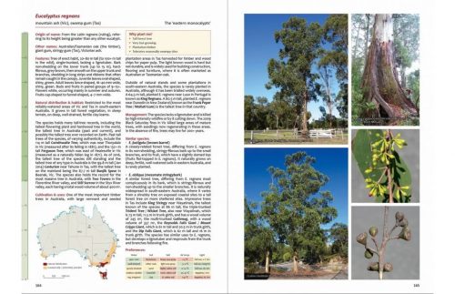 Taller Eucalypts for Planting in Australia: Their Selection, Cultivation and Management - Image 4