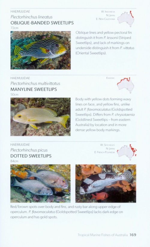 Tropical Marine Fishes of Australia:  A Guide for Waters from the Abrolhos Islands to Lord Howe Islands - Image 3