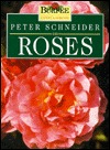 Peter Schneider on Roses