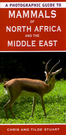 A Photographic Guide to Mammals of North Africa and the Middle East