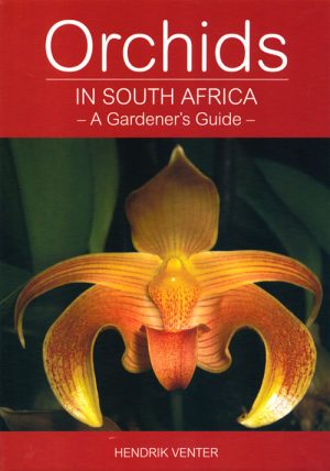 Orchids in South Africa: A Gardener's Guide