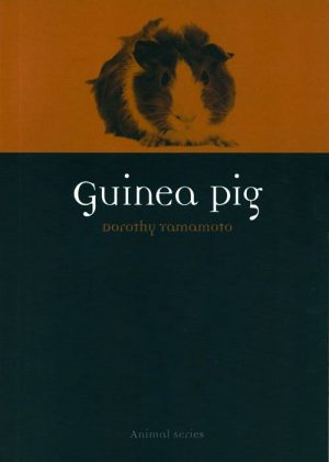 Guinea pig.