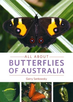 All About Butterflies of Australia