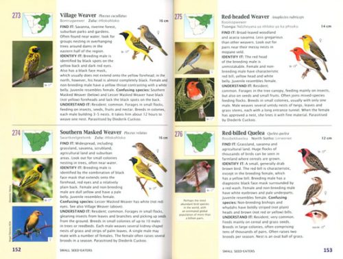 SASOL 300 Easy-To-See Birds - Image 2