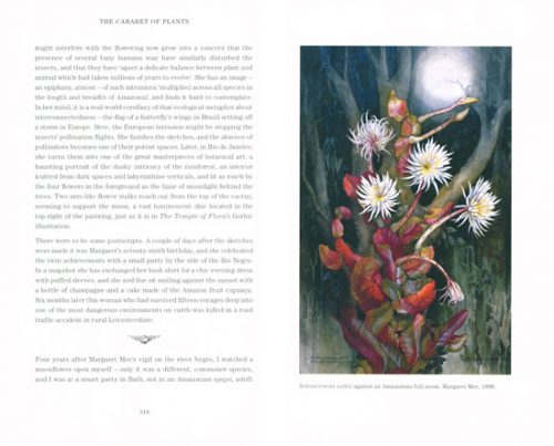 The Cabaret of Plants: Botany and the Imagination. - Image 2