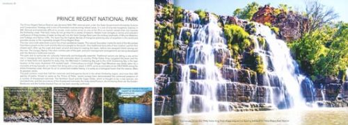 The Kimberley: Endemic Frogs, Reptiles, Birds and Mammals - Image 2