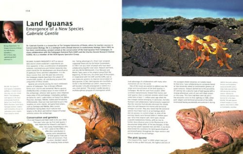 Galapagos: Preserving Darwin's Legacy - Image 2
