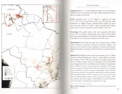 Monograph of the Genus Genlisea - Image 3