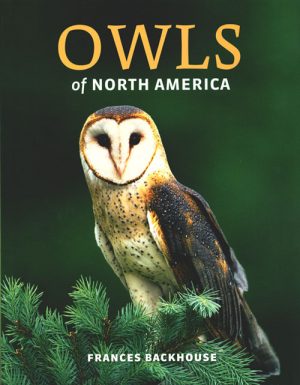 Owls of North America