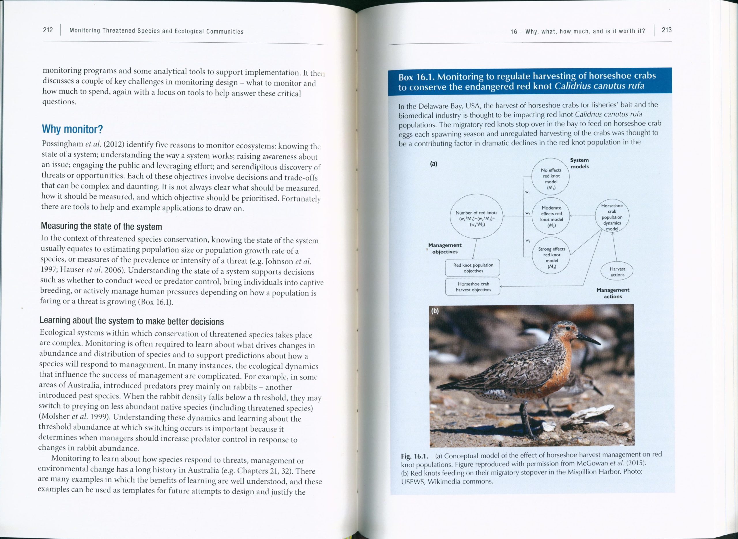 Monitoring Threatened Species and Ecological Communities - Image 3