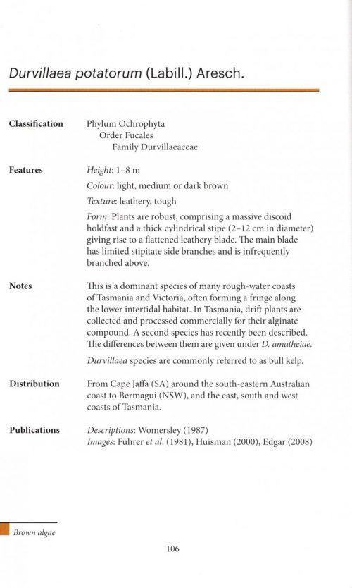 Marine Plants of Tasmania - Image 5