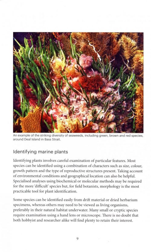 Marine Plants of Tasmania - Image 6