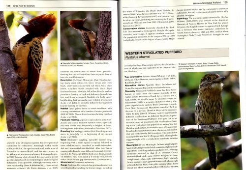 Birds New to Science:  50 Years of Avian Discoveries (Helm Photographic Guide) - Image 3