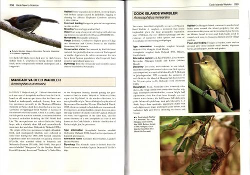 Birds New to Science:  50 Years of Avian Discoveries (Helm Photographic Guide) - Image 2