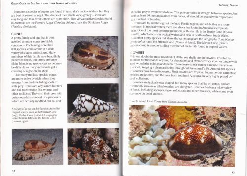 Green Guide:  Seashells and Other Marine Molluscs of Australia - Image 3