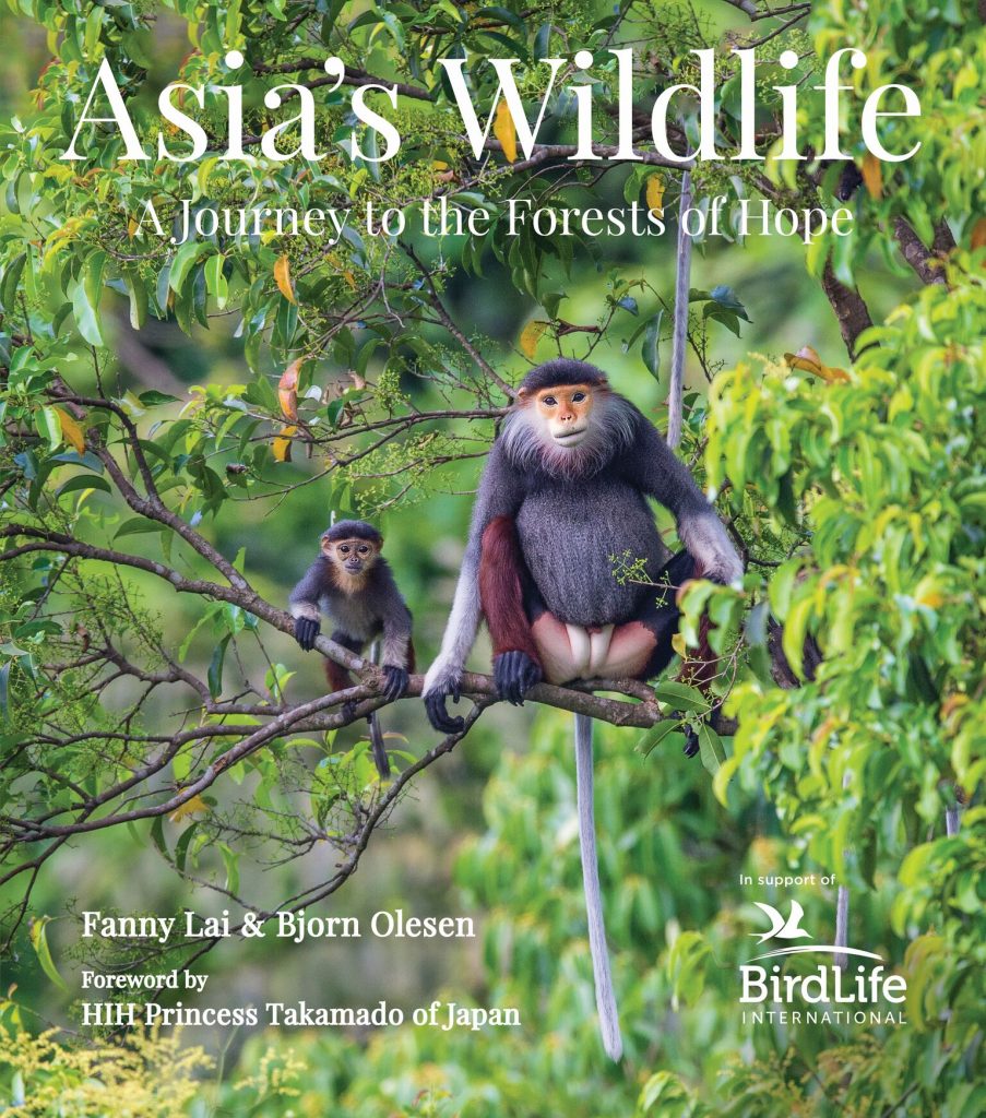 Birds of Bali, Sumatra and Java (Helm Wildlife Guide) - Nokomis