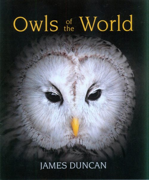 Owls of the World