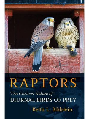 Raptors: The Curious Nature of Diurnal Birds of Prey