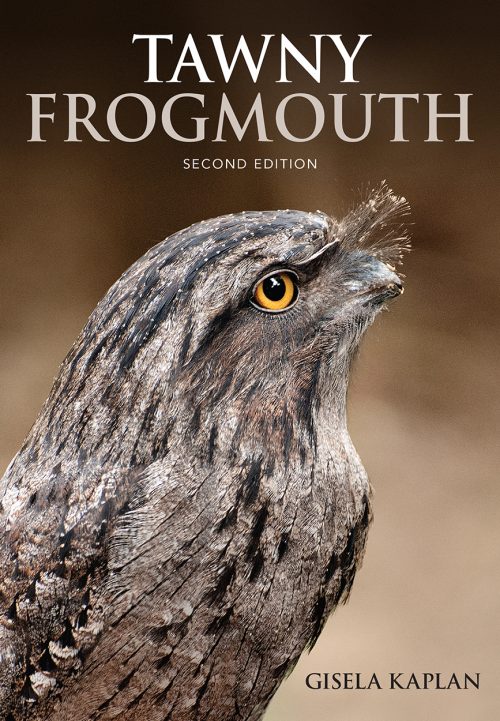 Tawny Frogmouth (Revised Second Edition)