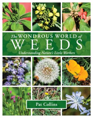 The Wondrous World of Weeds:  Understanding Nature's Little Workers