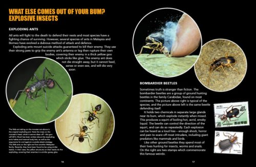 World's Weirdest Bugs:  The Tiny Aliens Among Us - Image 5