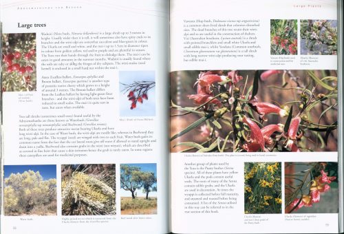 Adnyamathanha and Beyond:  Useful Plants of an Ancient Land - Image 2